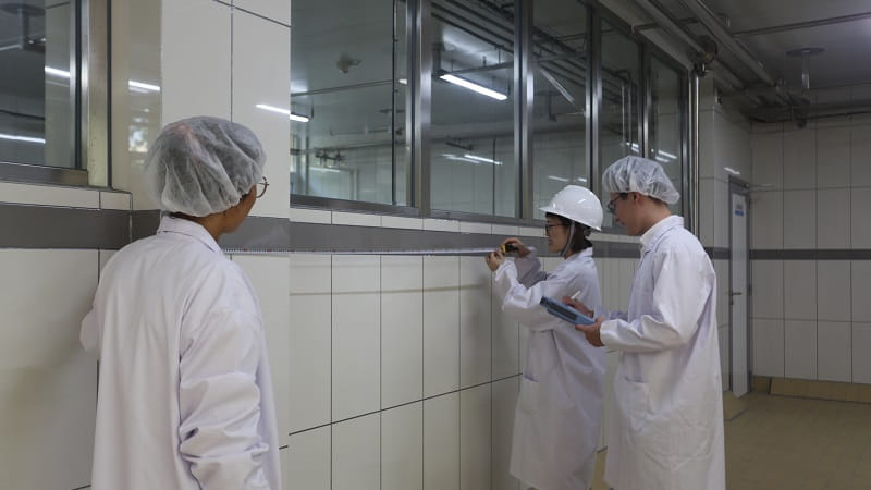 Visita de HSE a la fabrica